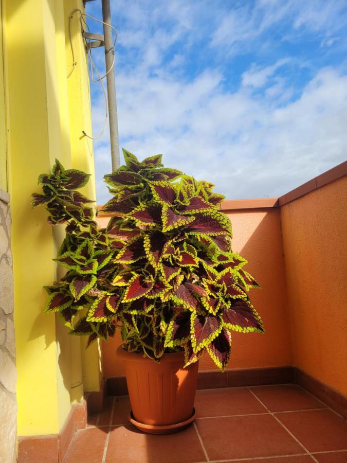Butterflyhouse Vila Monserrato Exterior foto
